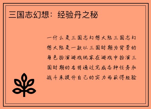 三国志幻想：经验丹之秘