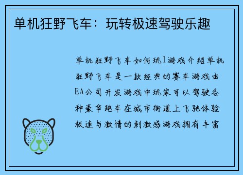 单机狂野飞车：玩转极速驾驶乐趣